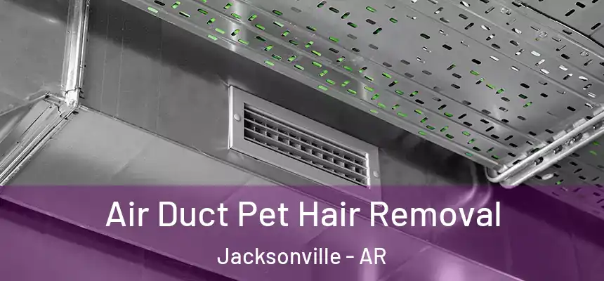 Air Duct Pet Hair Removal Jacksonville - AR