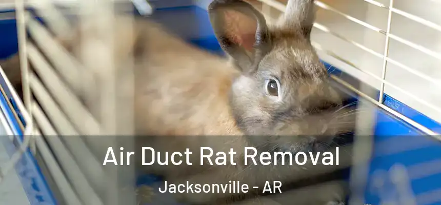  Air Duct Rat Removal Jacksonville - AR