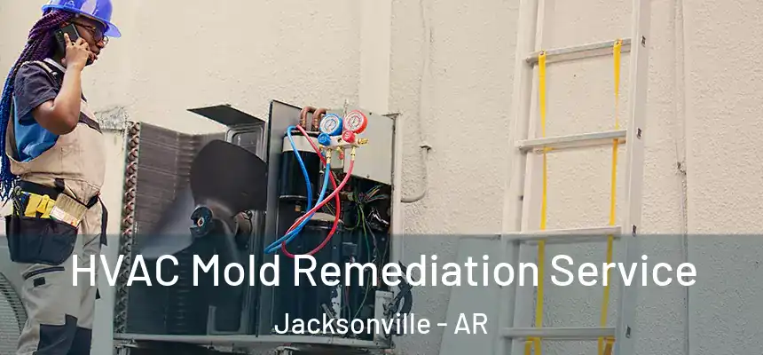 HVAC Mold Remediation Service Jacksonville - AR