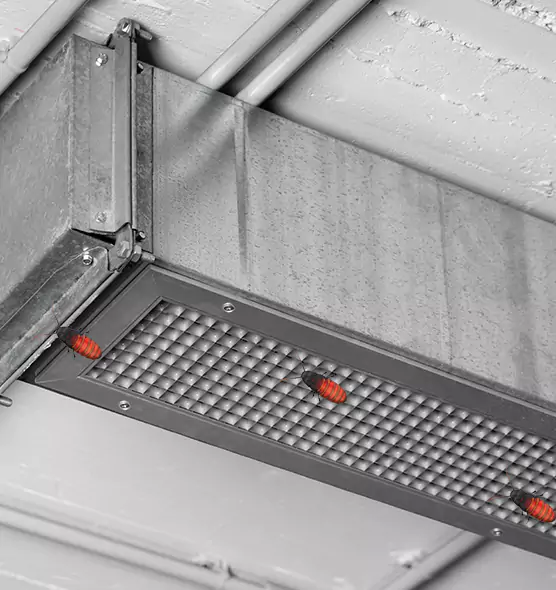 About Air Duct Cockroach Removal in Jacksonville, AR
