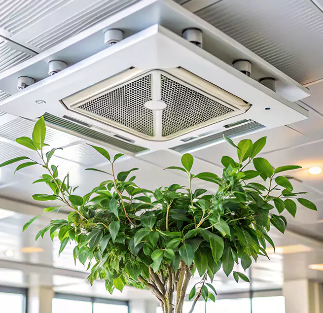 Why Homeowners & Businesses Trust Us in Jacksonville, AR